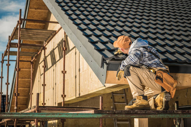 Best Storm Damage Roof Repair  in Romulus, MI