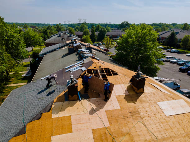 Best Roof Repair Specialists  in Romulus, MI