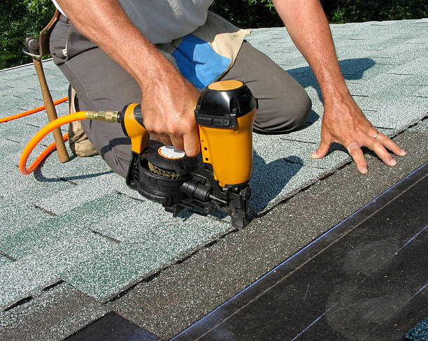 Best Roof Waterproofing Services  in Romulus, MI