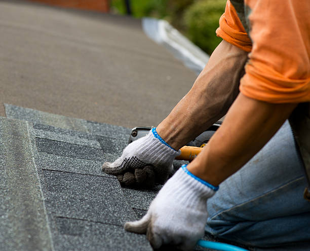 Quick and Trustworthy Emergency Roof Repair Services in Romulus, MI