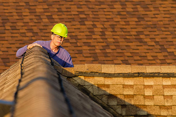 Best Shingle Roofing Installation  in Romulus, MI