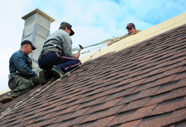 Roof Gutter Cleaning in Romulus, MI