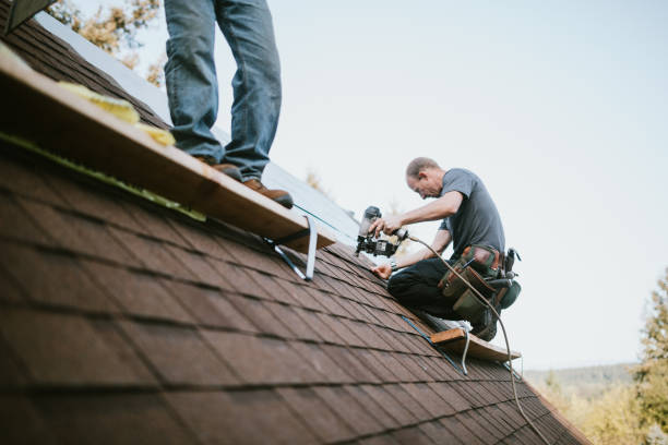Best Roofing Contractor Near Me  in Romulus, MI