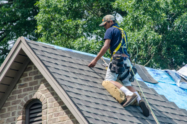 Best Storm Damage Roof Repair  in Romulus, MI